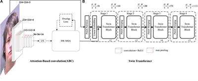 Face-based age estimation using improved Swin Transformer with attention-based convolution